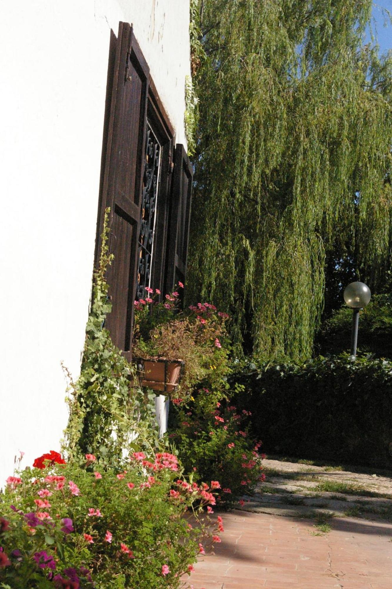 B&B Villa Sans Souci 치비타베키아 외부 사진