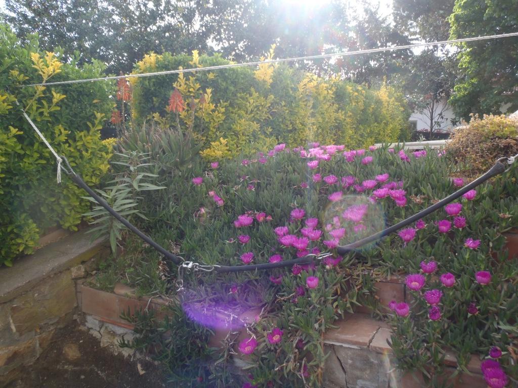 B&B Villa Sans Souci 치비타베키아 외부 사진