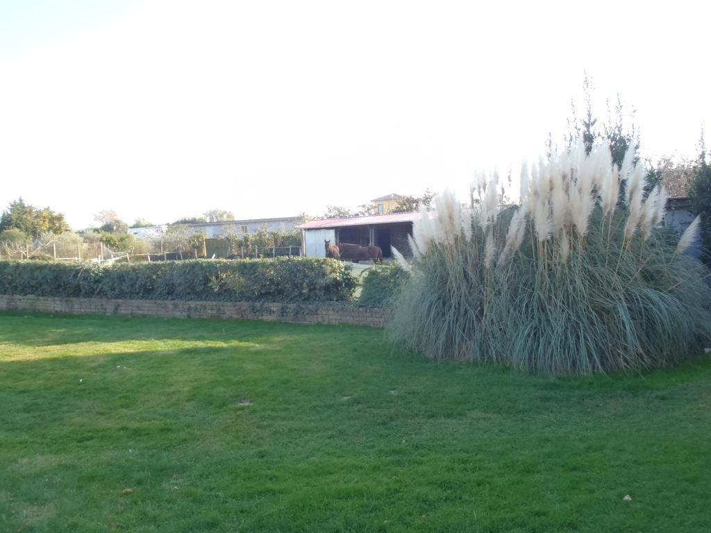 B&B Villa Sans Souci 치비타베키아 외부 사진